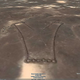 Illustration for article titled Google Earth Reveals Strange Nazca-Like Ruins in Saudi Arabia